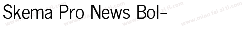 Skema Pro News Bol字体转换